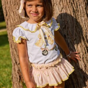 Conjunto limonero LA MARTINICA